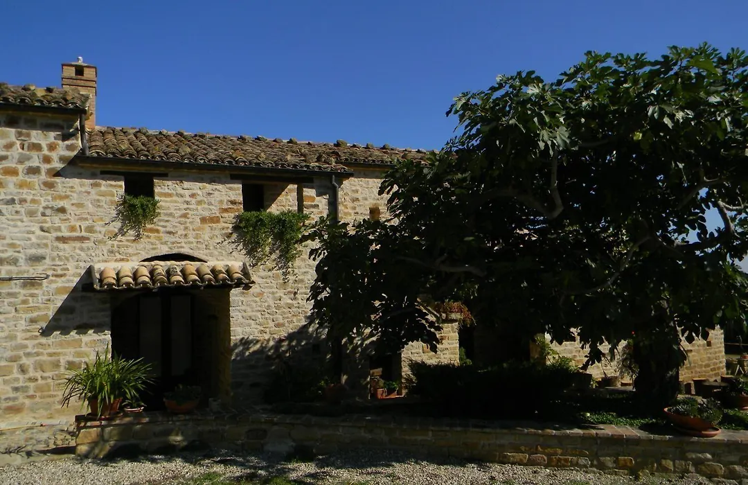 Azienda Agrituristica Colle San Giorgio-1